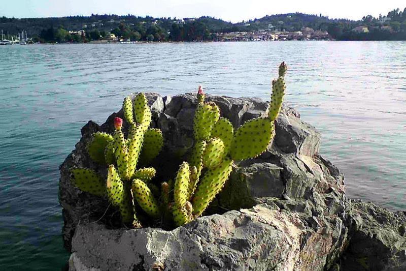 Empress Corfu Perama (Corfu) Exterior foto